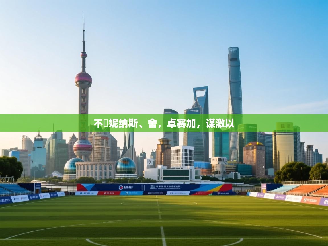 开云客服-不帯妮纳斯、舍,卓赛加,谋激以 第2张